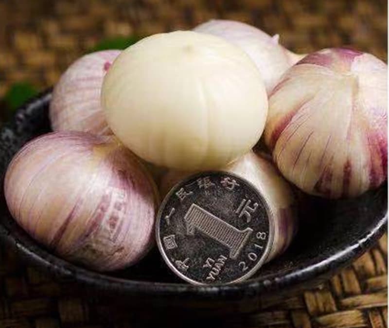 images/1660290664078garlic grader.jpg